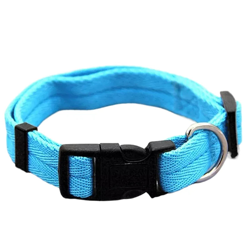 Nylon Webbing Dog Collar