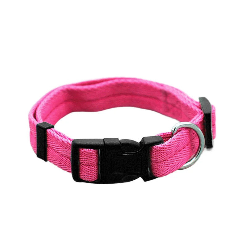 Nylon Webbing Dog Collar