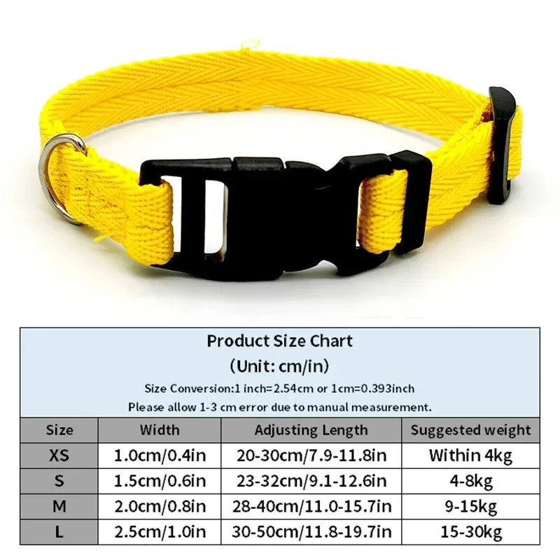 Nylon Webbing Dog Collar