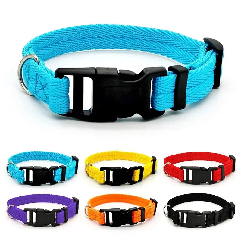 Nylon Webbing Dog Collar