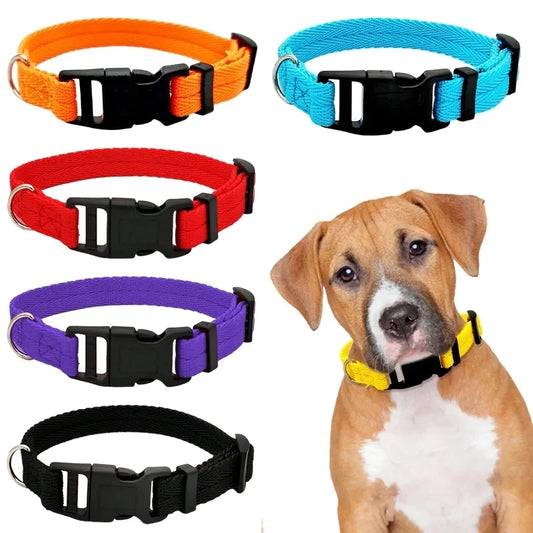 Nylon Webbing Dog Collar