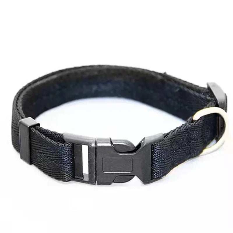 Nylon Webbing Dog Collar