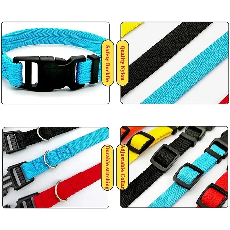 Nylon Webbing Dog Collar