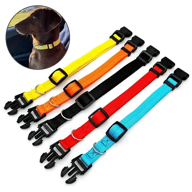 Nylon Webbing Dog Collar