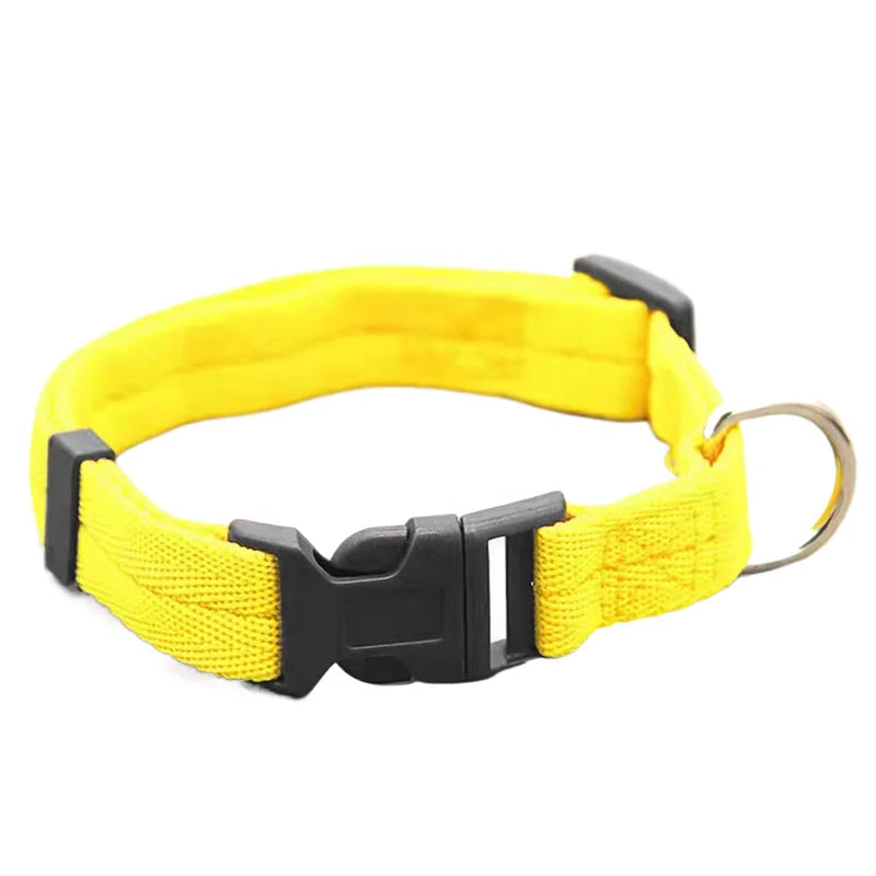 Nylon Webbing Dog Collar