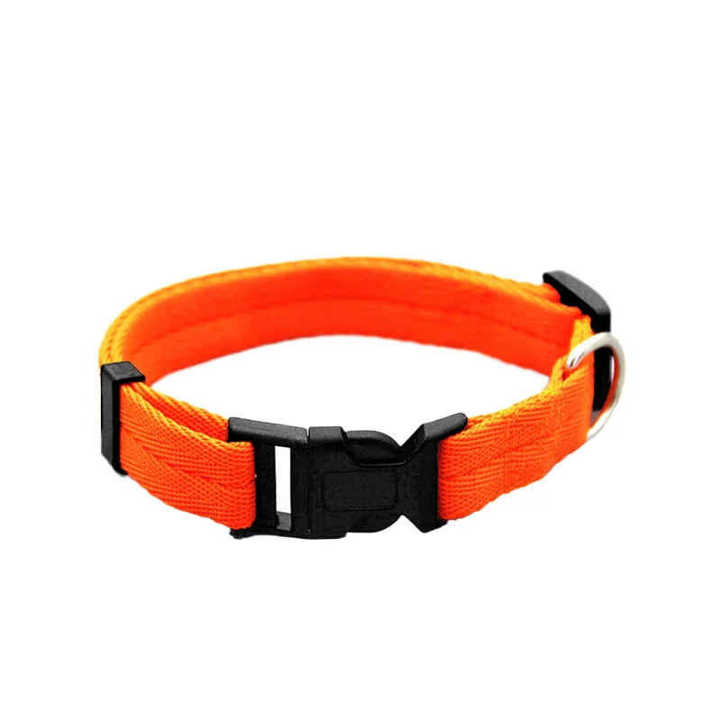 Nylon Webbing Dog Collar