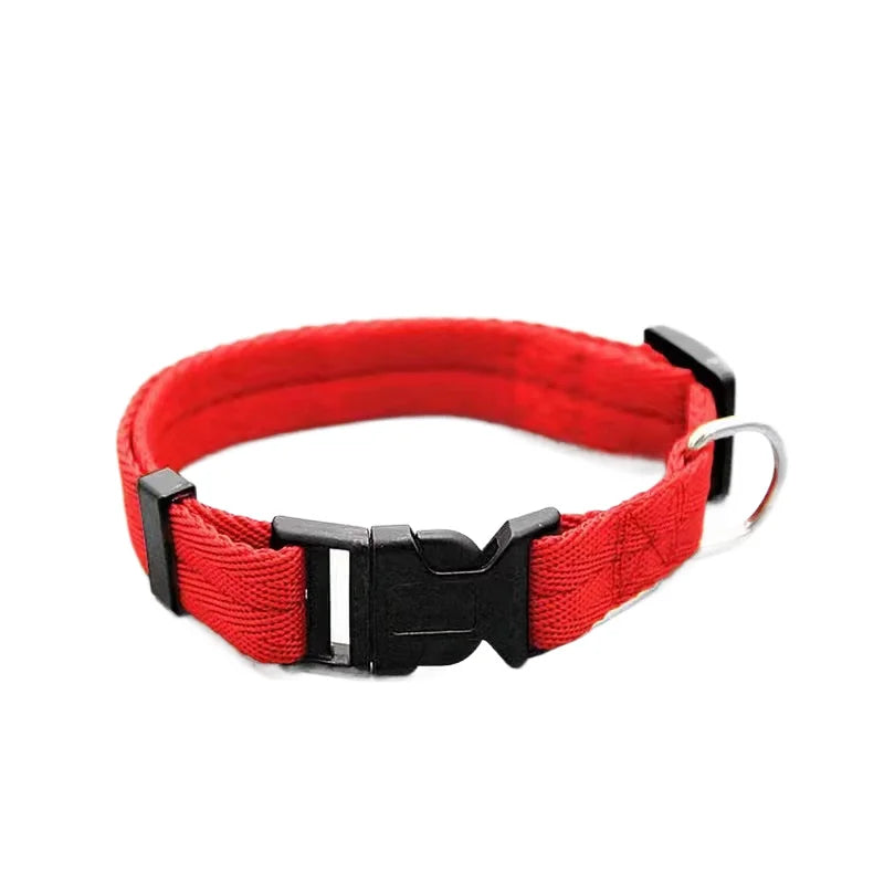 Nylon Webbing Dog Collar