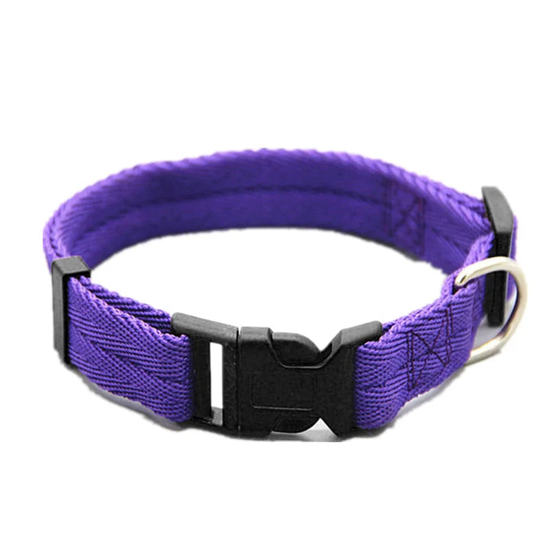 Nylon Webbing Dog Collar